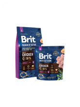 Brit Premium by Nature ADULT Small 3 Kg
